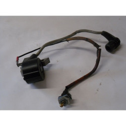 BOBINE ALLUMAGE+INTERUPTEUR...