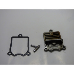 CARTER PIGNON ARBRE A CAME...