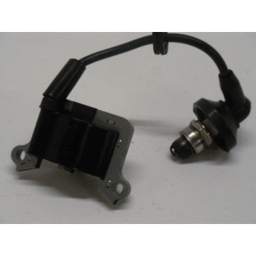 BOBINE ALLUMAGE TIMBERTECH...