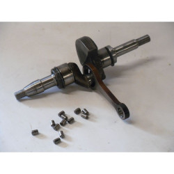 VILBREQUIN (01) STIHL 015 (1)