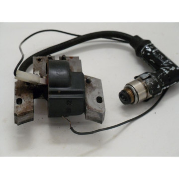 BOBINE ALLUMAGE MOTEUR B&S...