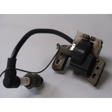 BOBINE ALLUMAGE MOTEUR B&S...