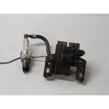 BOBINE ALLUMAGE B&S SERIE...