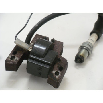 BOBINE ALLUMAGE MOTEUR B&S...
