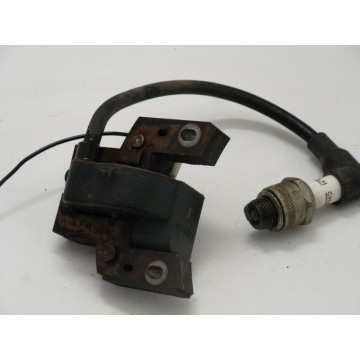 BOBINE ALLUMAGE MOTEUR B&S...