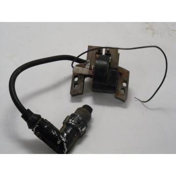 BOBINE ALLUMAGE MOTEUR B&S...