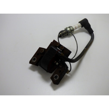 BOBINE ALLUMAGE B&S 121602...