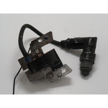 BOBINE ALLUMAGE MOTEUR B&S...