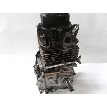 SHORT-BLOC MOTEUR B&S INTEK...