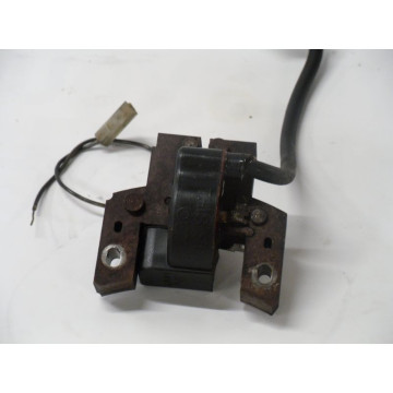 BOBINE ALLUMAGE MOTEUR B&S...