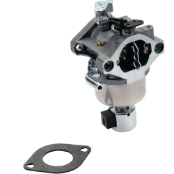 CARBURATEUR RUIXING SERIE...