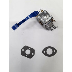 CARBURATEUR (EX 545081811)...