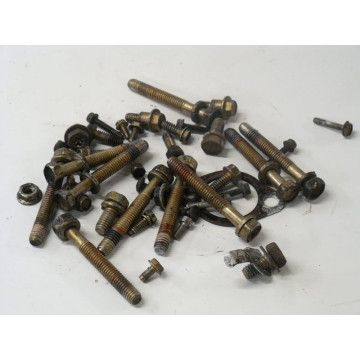VISSERIE MOTEUR B&S 13.5...