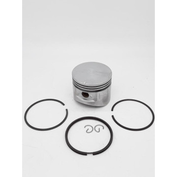 PISTON CPLT +0.30