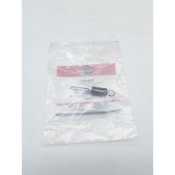 RESSORT DE REGULATEUR (EX...