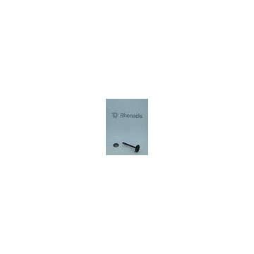 SOUPAPE ECHAPPEMENT (EX...