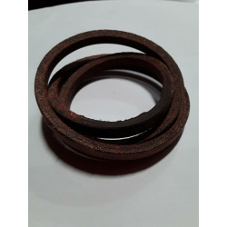 Courroie de Traction de...