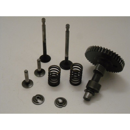 Arbre à Cames SECURA Pour Moteur Briggs & Stratton 31P707 - Compatible Nombreux Sous-types