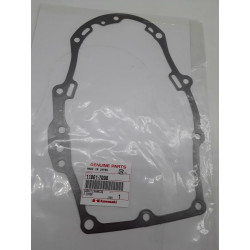 JOINT CARTER EX 110607012 -...