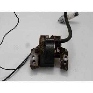 BOBINE ALLUMAGE B&S POWER...