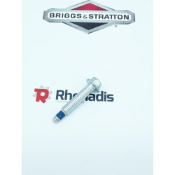 VIS - BRIGGS / PIECE D'ORIGINE