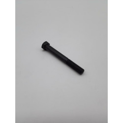 VIS DE LAME 43680 X 75 mm...