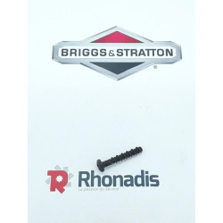 VIS - BRIGGS / PIECE D'ORIGINE
