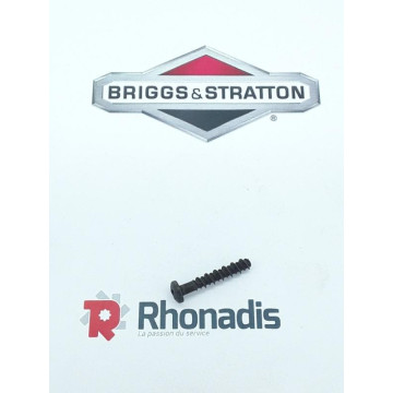 VIS - BRIGGS / PIECE D'ORIGINE