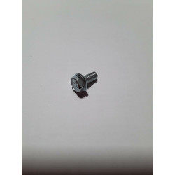 VIS M 6 X 12 (par 10)(EX...