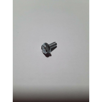 VIS M 6 X 12 (par 10)(EX...