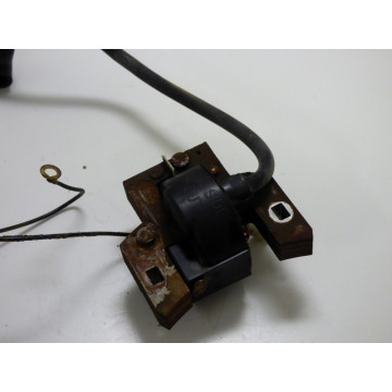 BOBINE ALLUMAGE B&S 5HP (17)