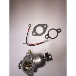 CARBURATEUR COMPLET MODELE...