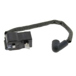 MODULE ALLUMAGE - PIECE...