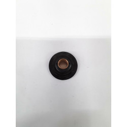 PIGNON (EX HU-505053101) -...