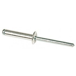 Boîte de 250 rivets 4.8 x 21mm