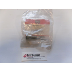 Vis Référence 2172622 Snapper