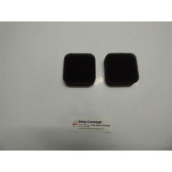 Jeu de 2 Filtres Air Mousse...