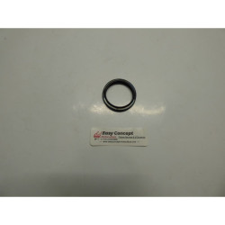 Bague Iseki Référence...