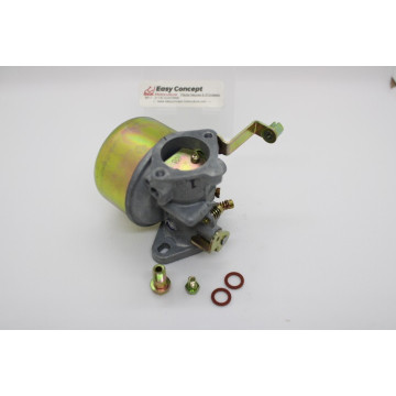 Carburateur Moteur Robin PR...