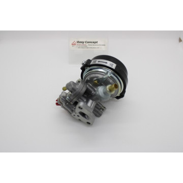 Carburateur Moteur Robin NB...