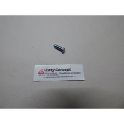 Vis de Réglage Carbu...