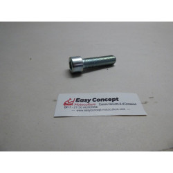 Vis Référence SGN309543523