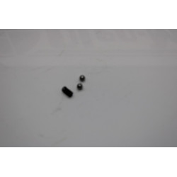 BILLE (Diamètre 6) +RESSORT...