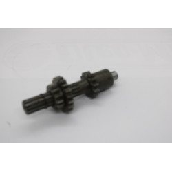 PIGNON ARBRE + BALADEUR...