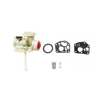 Carburateur complet BRIGGS...