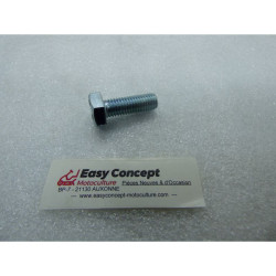 Vis Référence SGN309578535