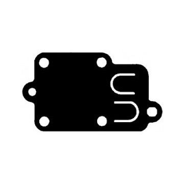 Membrane BRIGGS-STRATTON
