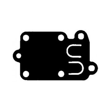 Membrane BRIGGS-STRATTON