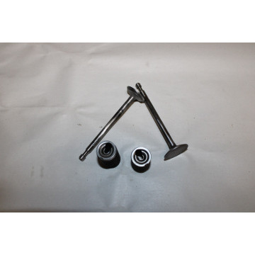 SOUPAPES MOTEUR BRIGGS &...