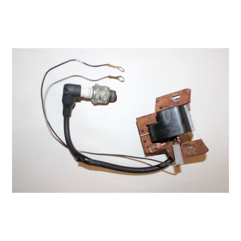 Bobine D'allumage SECURA Compatible Briggs & Stratton 122H82 - Pour Moteurs 122H82-0124-01, 0125-01, 0128-01, 0130-B1